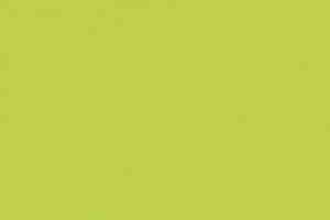 Линолеум Forbo Sarlon Colour 15dB 868T4315 lime uni фото  | FLOORDEALER